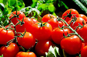 tomato cherry